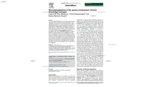 Micro(nanoplastics) in the marine environment: Current knowledge and gaps